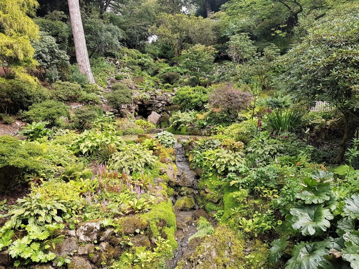 Flower and plant-filled rocky terraces at Bodnant Garden